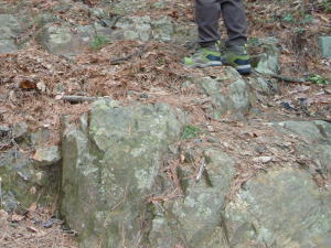 道樹山登山道の岩場２　針葉樹の落ち葉が積もっているので滑りやすい