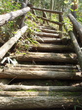 道樹山登山道の階段　足場が手すりと平行に斜めに下がっている
